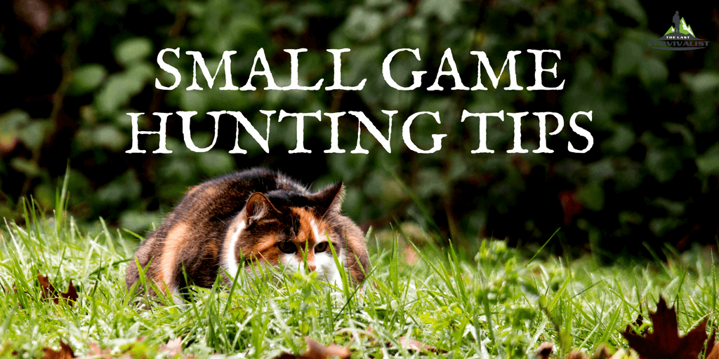 small-game-hunting-tips-the-last-survivalist